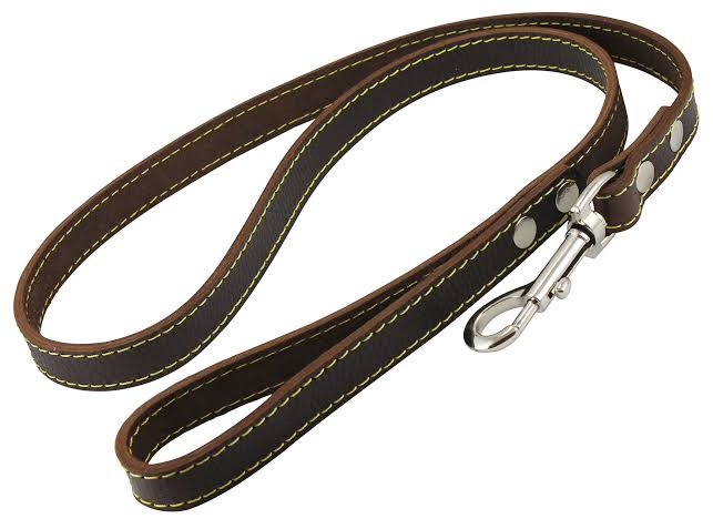 Pure Leather Leash