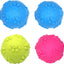 Squeaky Paw Ball Toy