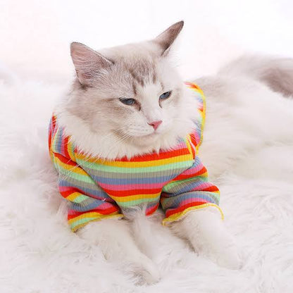 Rainbow Striped T-Shirt