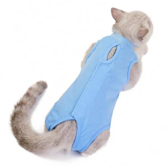 Multipurpose Kitty Suit