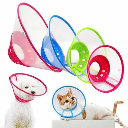 Colored Design Pet E-Collar