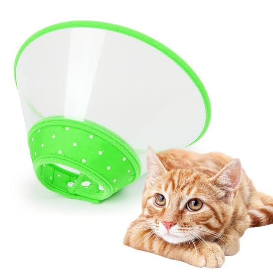 Colored Design Pet E-Collar