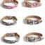 Monogram Pet Collar