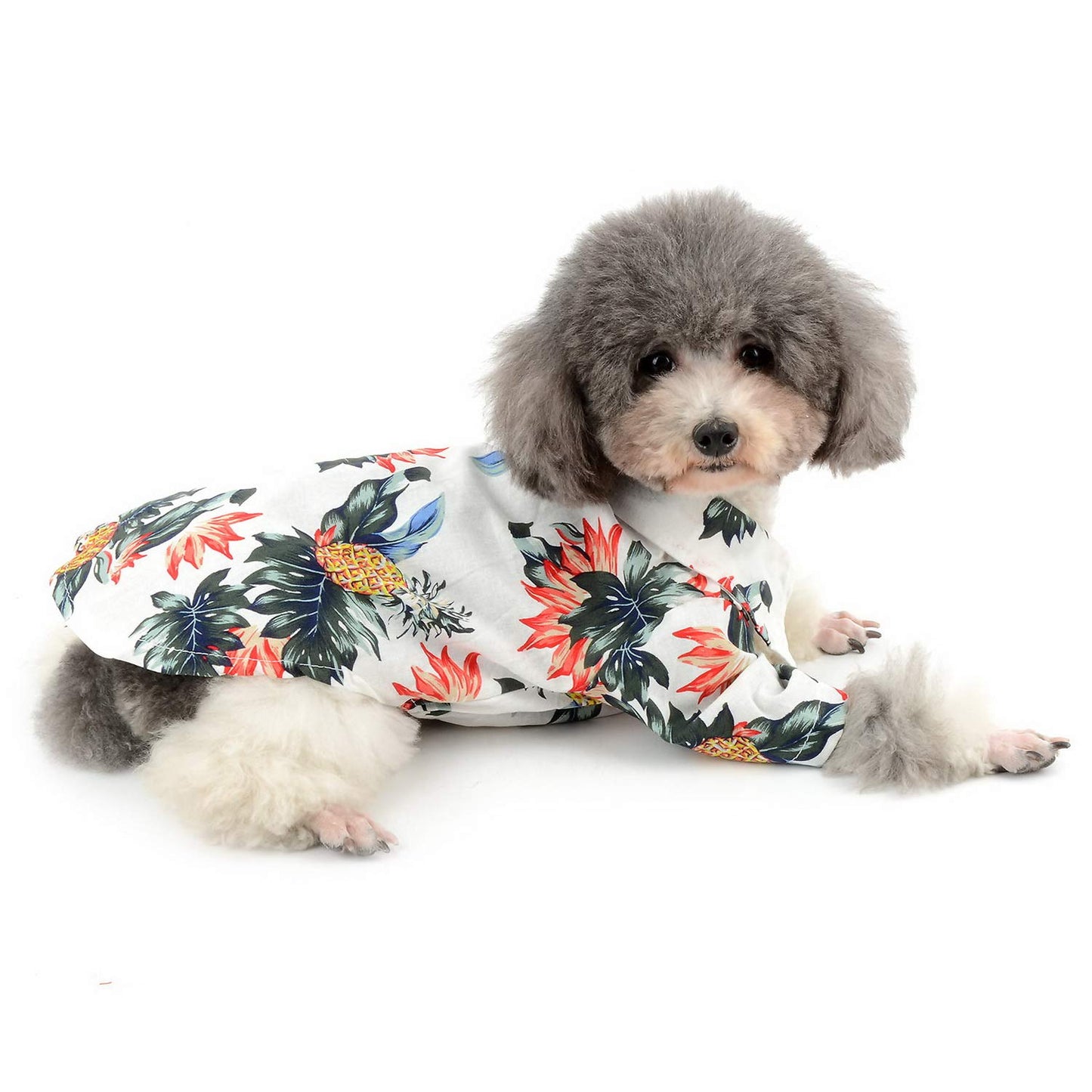 Pet Summer Shirt