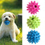 NUNBELL - Classic Rubber Spike Ball with Bell
