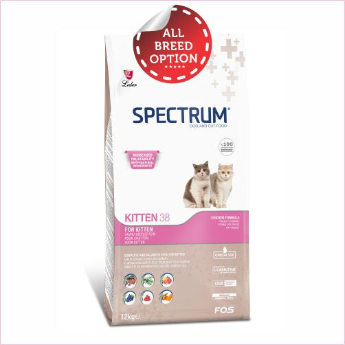 SPECTRUM - Kitten 38