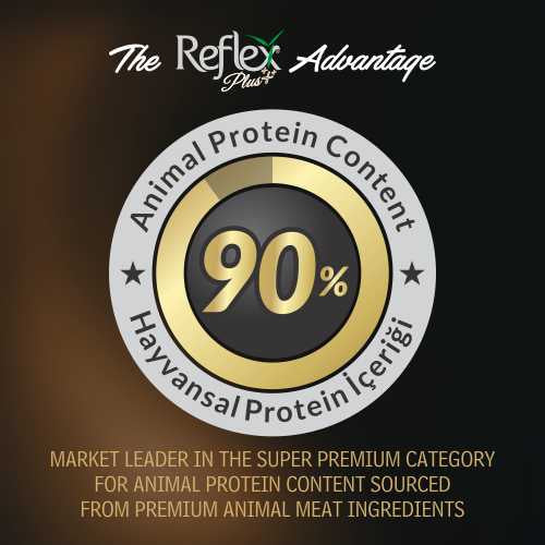 REFLEX PLUS - Lamb & Rice Cat Food