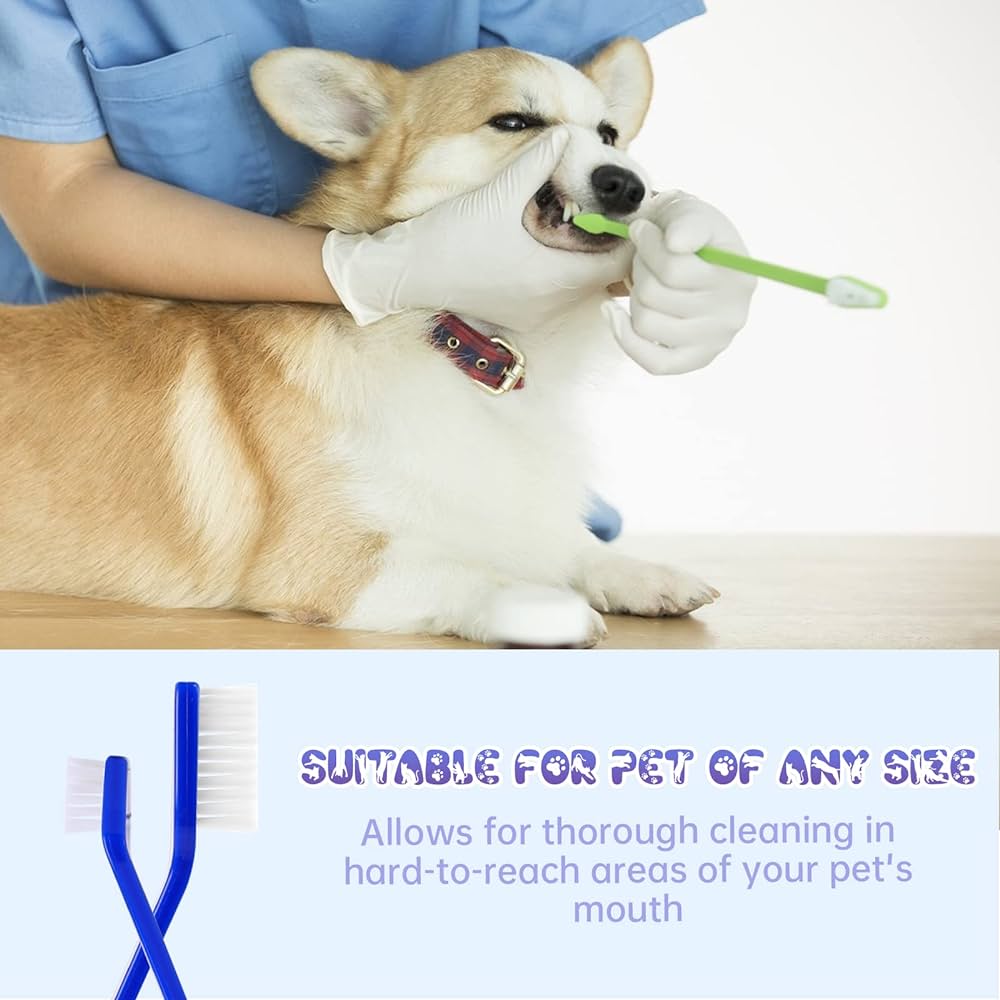 Two-Way Pet Toothbrush