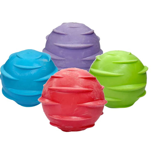 Squeaky Wave Ball Toy