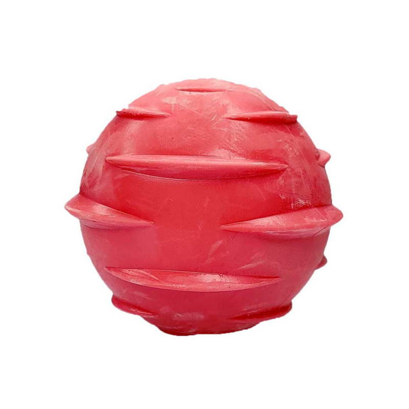 Squeaky Wave Ball Toy