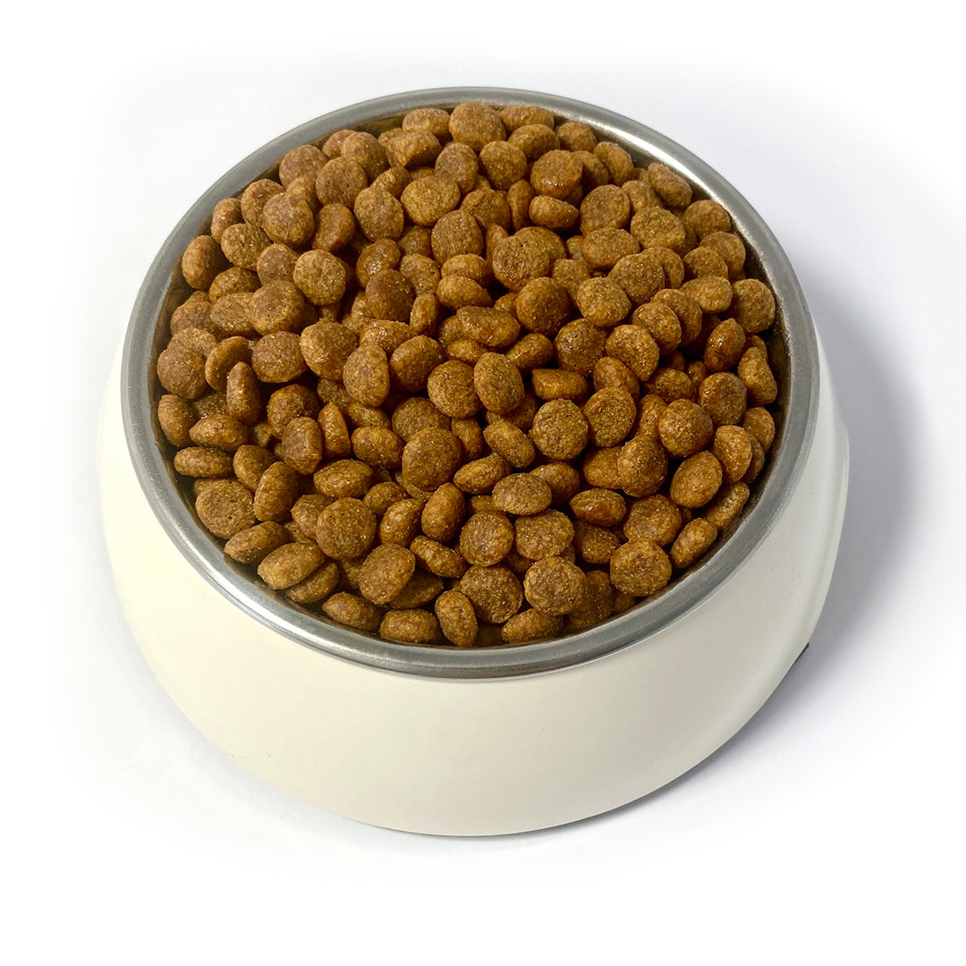 TEO - Cat Dry Food Rich in Beef