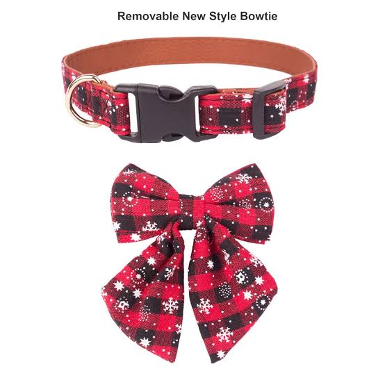 Snow Flake Pet Collar