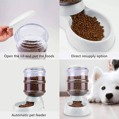 DIIL - Large Automatic Food Dispenser