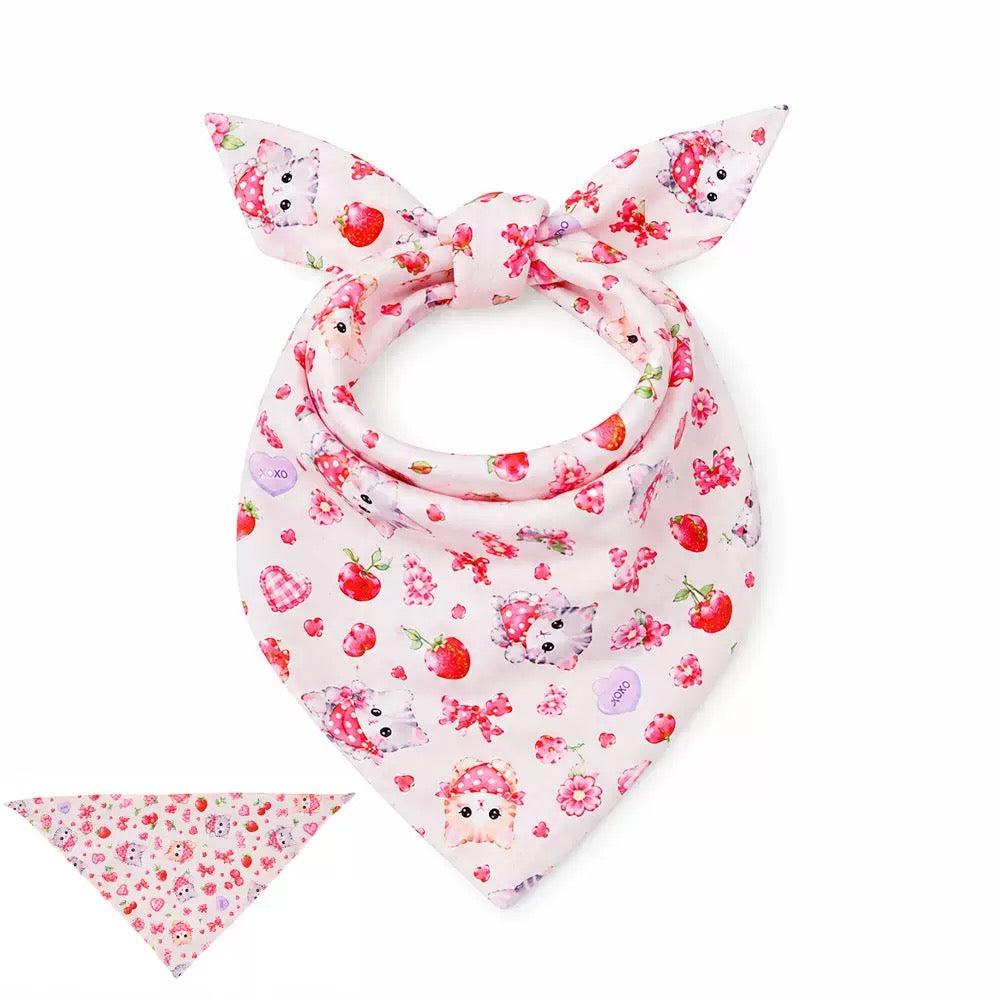 Pet Bandana Scarf