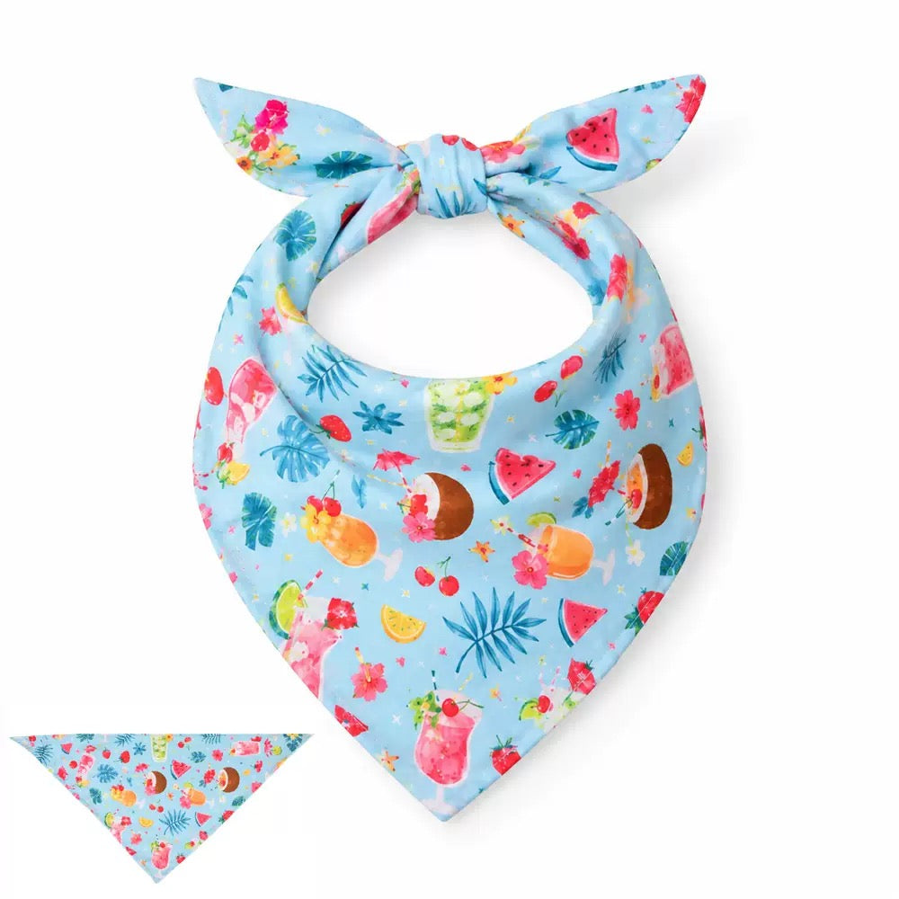Pet Bandana Scarf