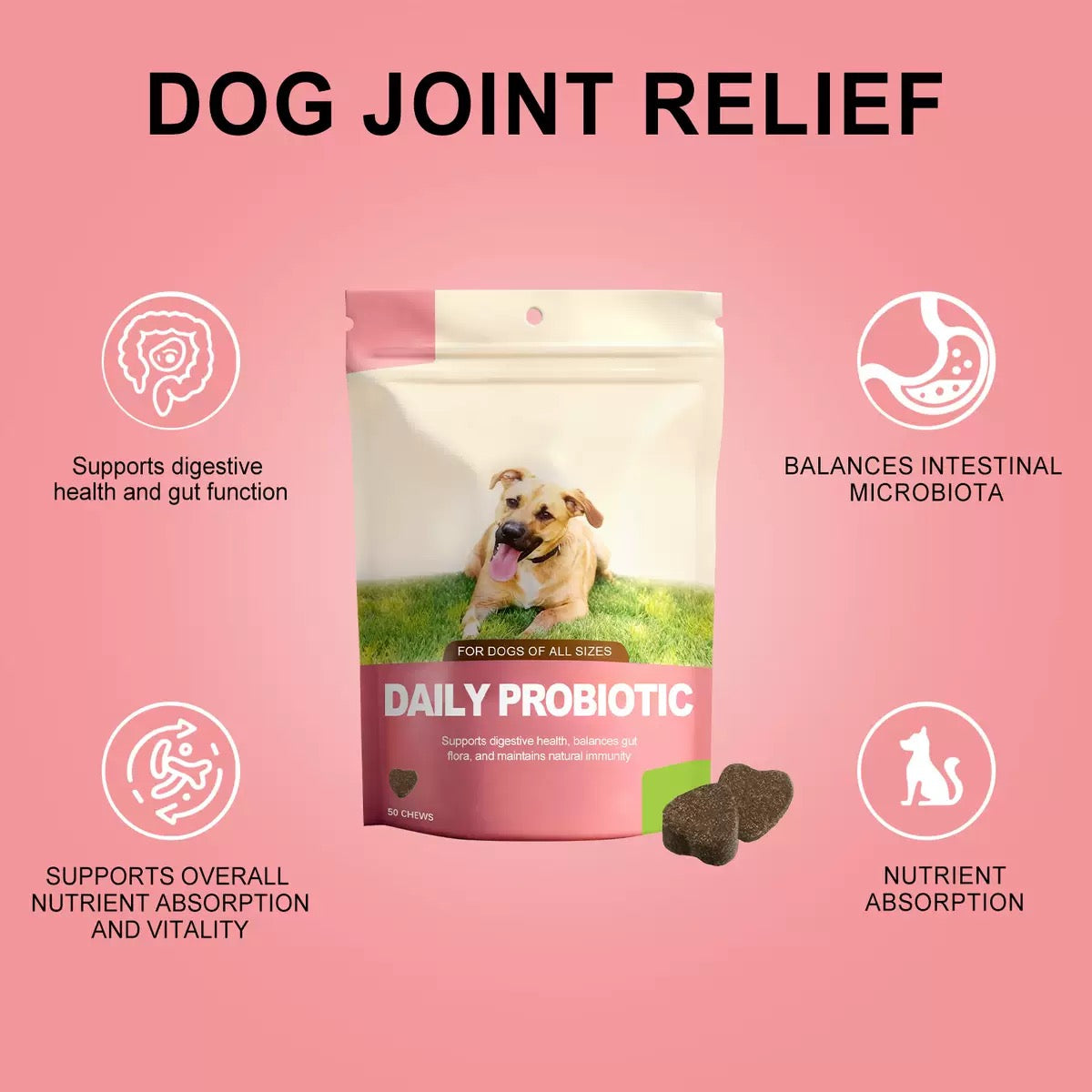 Daily Probiotic Soft Chews