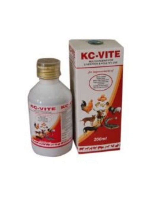 KC-VITE - Multivitamins