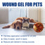 YEGBONG - Pet Skin Care Gel