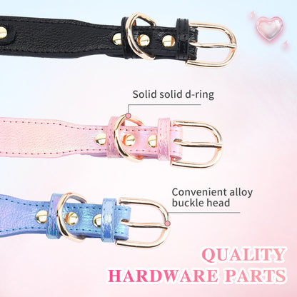 Ocean Heart Dog Collar