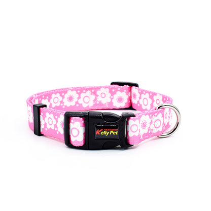 Colourful Dog Collar With Leash