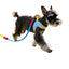 GOOD DOG - Pet Harness and Leash Set