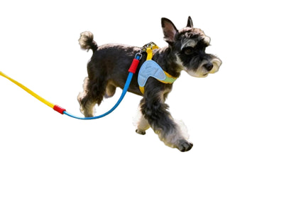 GOOD DOG - Pet Harness and Leash Set