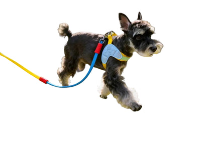 GOOD DOG - Pet Harness and Leash Set