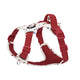 Dog Chest Harness