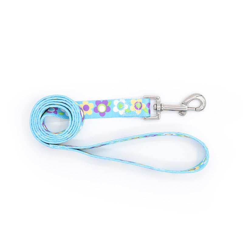 Colourful Dog Collar With Leash