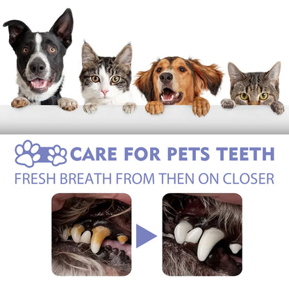 YEGBONG - Oral Spray For Dogs and Cats