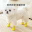 Cute Big Eyes Socks