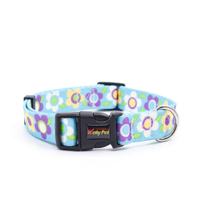 Colourful Dog Collar With Leash