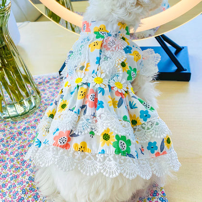 PETCIRCLE - Floral Dress