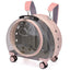 Pet Transparent Trolley Carrier