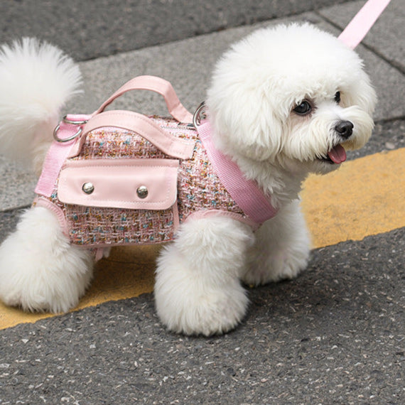 Xiaoxiang Style Pet Travel Shoulder Bag