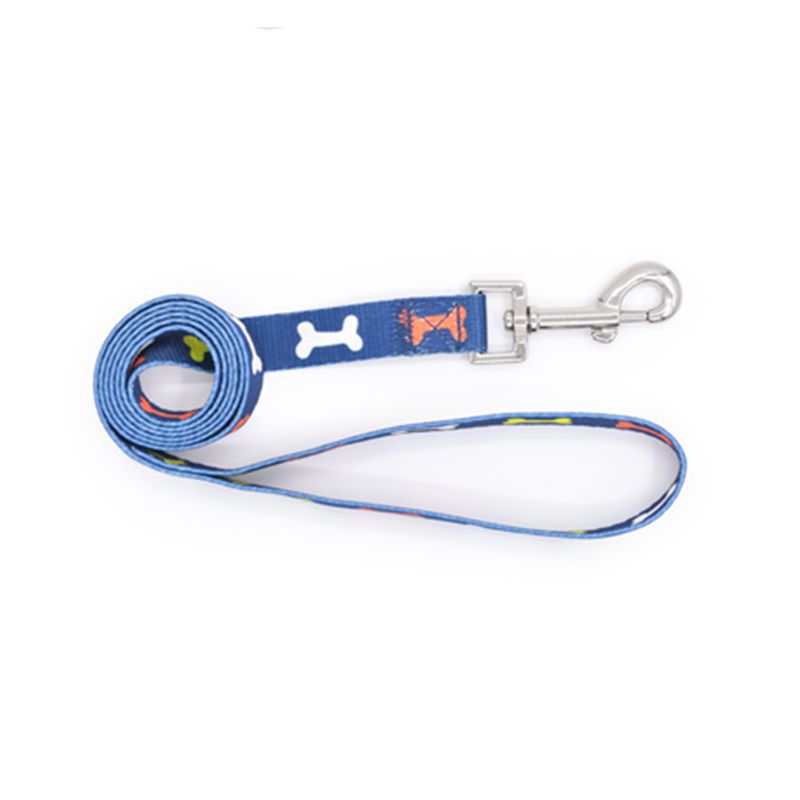 Colourful Dog Collar With Leash