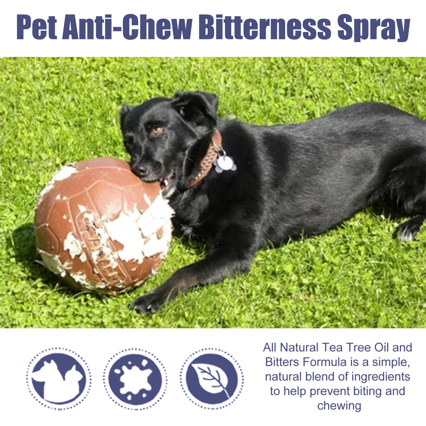 YEGBONG - Pet Bitter/Anti-Bite Spray
