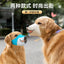 Fancy Dog Muzzle