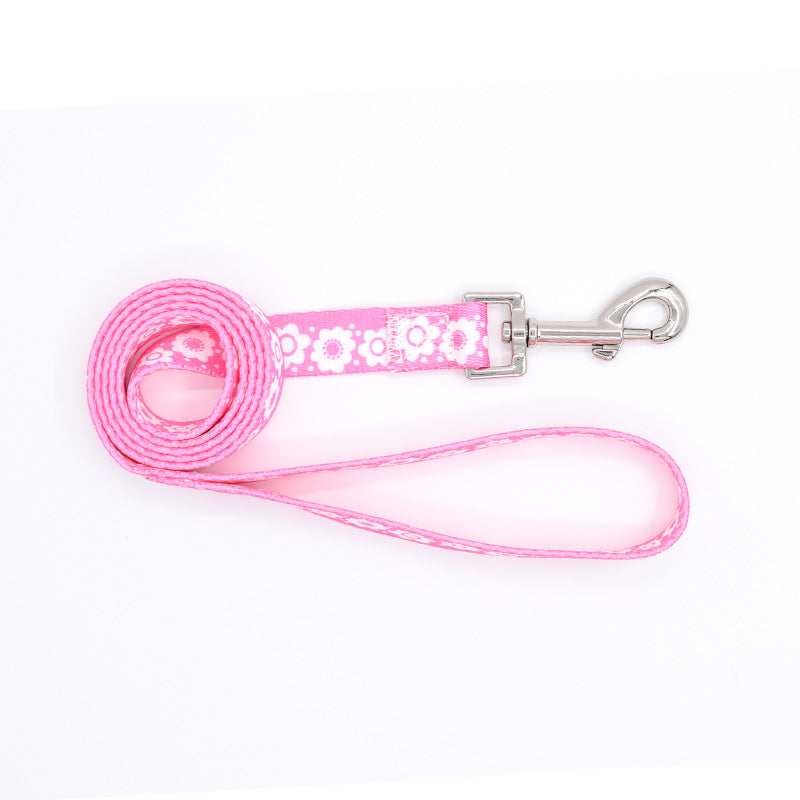 Colourful Dog Collar With Leash