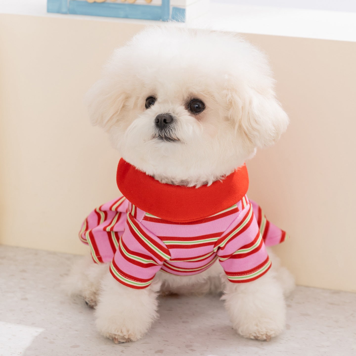 Striped Polo Collar Dress