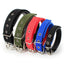Pet Padded Collar