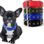 Pet Padded Collar