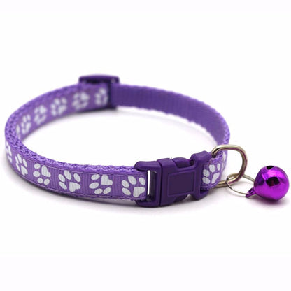 Paw & Print Design Pet Collar