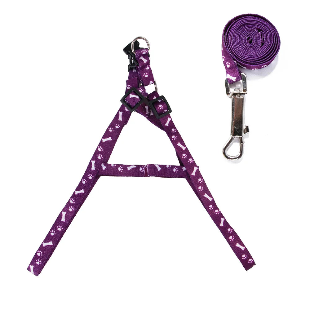 Bone Printed Harness and Lead