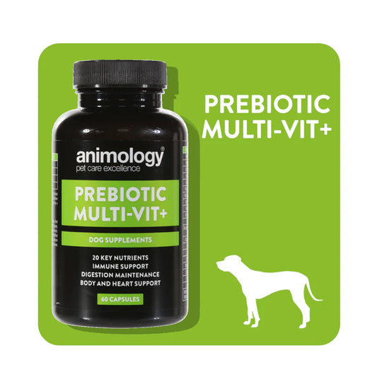 ANIMOLOGY - Prebiotic Multi-Vit + Dog Supplement