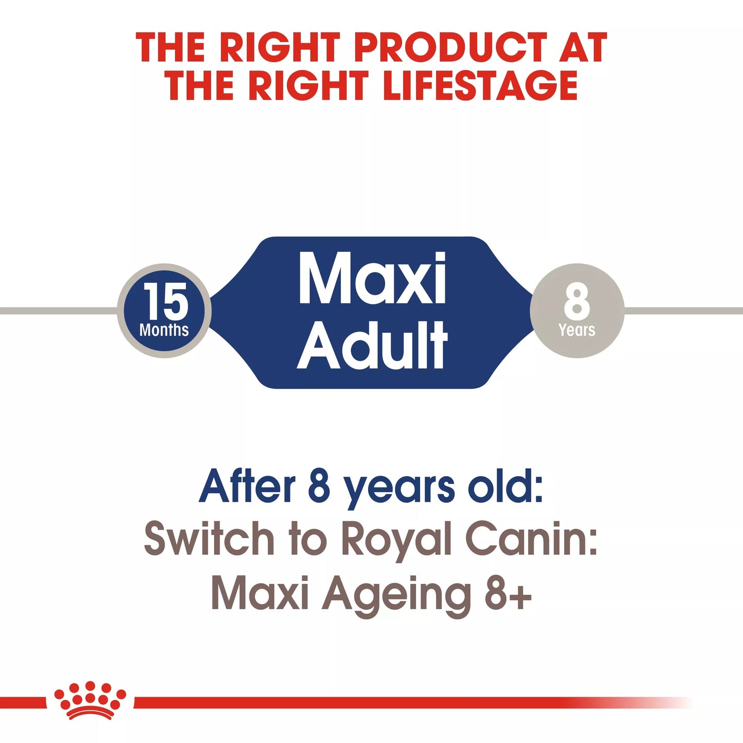 ROYAL CANIN - Maxi Adult in Gravy Wet Food