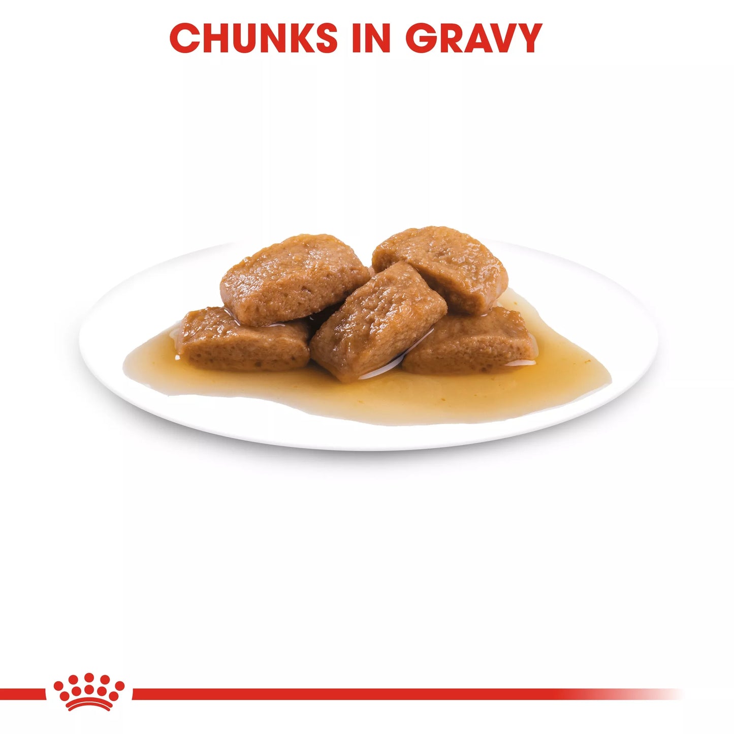 ROYAL CANIN - Maxi Adult in Gravy Wet Food