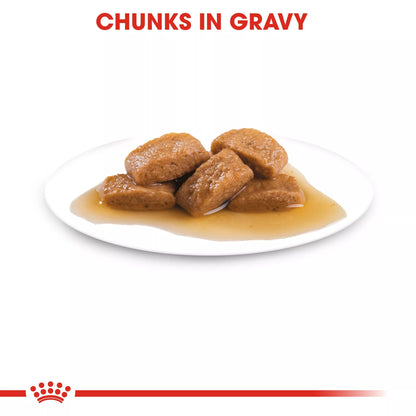 ROYAL CANIN - Maxi Adult in Gravy Wet Food