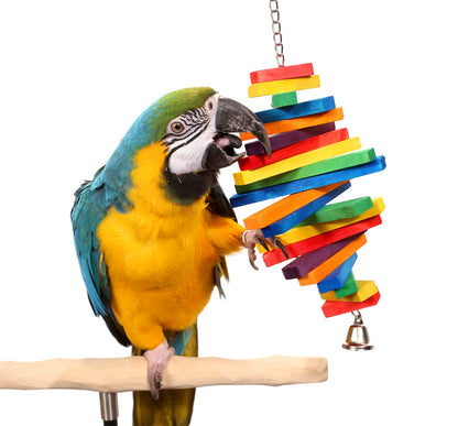 Tropical Rainbow Wooden Parrot Toy