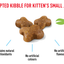 ROYAL CANIN - Kitten Dry Food